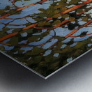 Lawren Harris  39 Metal print