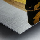 Lawren Harris  47 Metal print