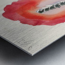 Hilma af Klint 8 Metal print