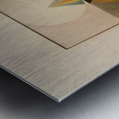 Hilma af Klint 39 Metal print