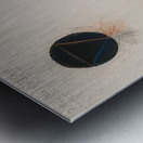  Art by Hilma af Klint 4 Metal print