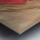 New Upload   Hilma af Klint 5 Metal print