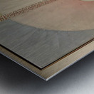 New Upload   Hilma af Klint 20 Metal print