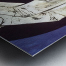 OUSWALDO GUAYASAMIN  8 Metal print