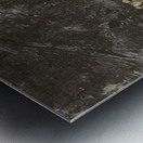 JEAN DUBUFFET 34 Metal print