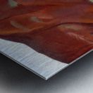 Georgia OKeeffe 2 Metal print