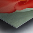 Georgia OKeeffe 7 Metal print