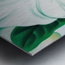 Georgia OKeeffe 10 Metal print