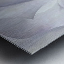 Georgia OKeeffe 11 Metal print