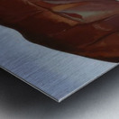 Georgia OKeeffe 15 Metal print