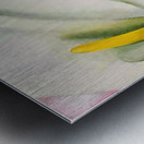 Georgia OKeeffe 25 Metal print