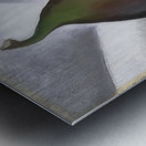 Georgia OKeeffe 32 Metal print