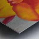 Georgia OKeeffe 36 Metal print