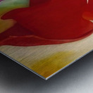 Georgia OKeeffe 59 Metal print