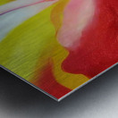 Georgia OKeeffe 60 Metal print