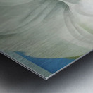 Georgia OKeeffe 63 Metal print