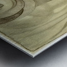 Georgia OKeeffe 68 Metal print