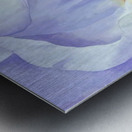 Georgia OKeeffe 74 Metal print