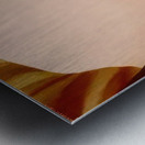 Georgia OKeeffe 12 Metal print