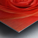 Georgia OKeeffe 26 Metal print