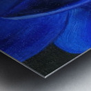 Georgia OKeeffe 28 Metal print