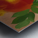 Georgia OKeeffe 1 Metal print