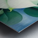 Georgia OKeeffe 9 Metal print