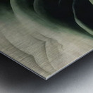 Georgia OKeeffe 16 Metal print