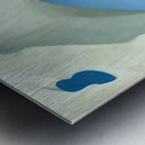 Georgia OKeeffe 28 Metal print