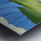 Georgia OKeeffe 29 Metal print