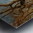 Chestnut Trees at Louveciennes 1872 Camille P Metal print