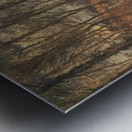 Grey Day Banks of the Oise 1878 Camille Pissa Metal print