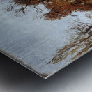 Autumn Landscape near Pontoise 1872 Camille P Metal print