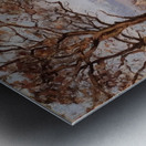 Near Sydenham Hill Looking towards Lower Norwood Camille Pissarro Metal print