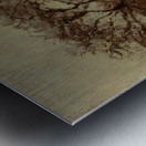 Chestnut Orchard in Winter 1872 Camille Pissarro Metal print