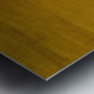 Agnes Martin    25 Metal print