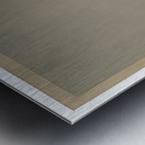 Agnes Martin    30 Metal print