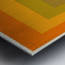 Josef Albers    12 Metal print