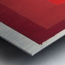 Josef Albers    27 Metal print