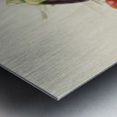 Charles Demuth    1 Metal print