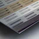 Charles Demuth    17 Metal print