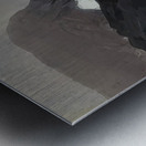 Rockwell Kent  26 Metal print