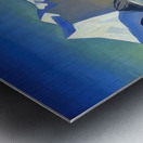 Rockwell Kent  31 Metal print