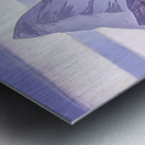 Rockwell Kent  40 Metal print