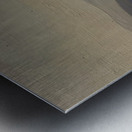 Rockwell Kent  47 Metal print