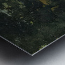 Rockwell Kent  61 Metal print