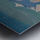 Rockwell Kent  72 Metal print