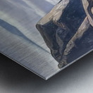 Rockwell Kent  4 Metal print