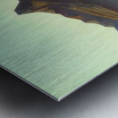 Rockwell Kent  6 Metal print