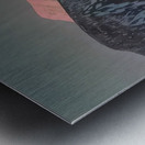 Rockwell Kent  20 Metal print